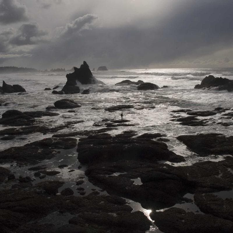 Aquaphor Baby Healing Ointment - Image 5