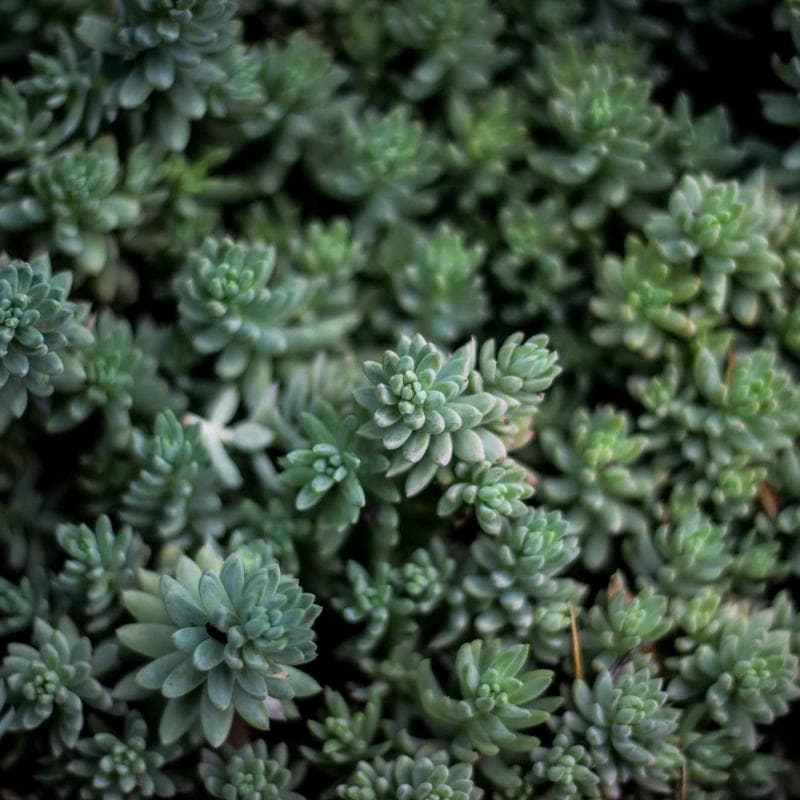 BabyBjorn Baby Carrier Mini - Image 3