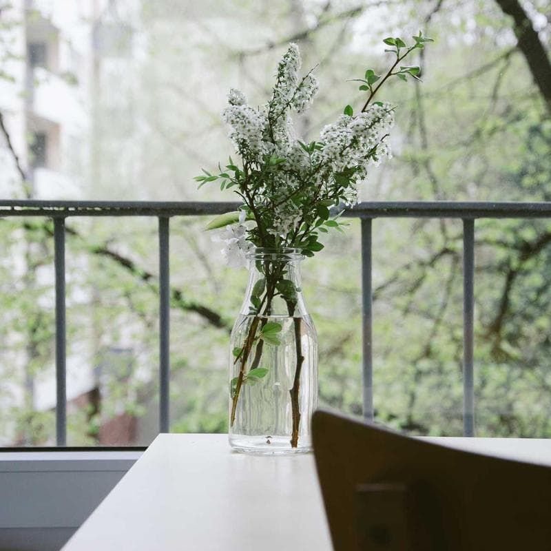 Baby Einstein Discover & Play Flash Cards (40 cards) - Image 3