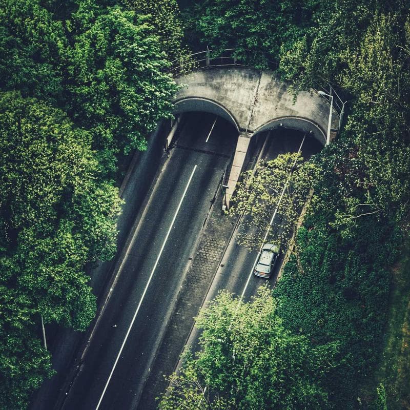 BabyBjorn Bouncer Bliss - Image 3