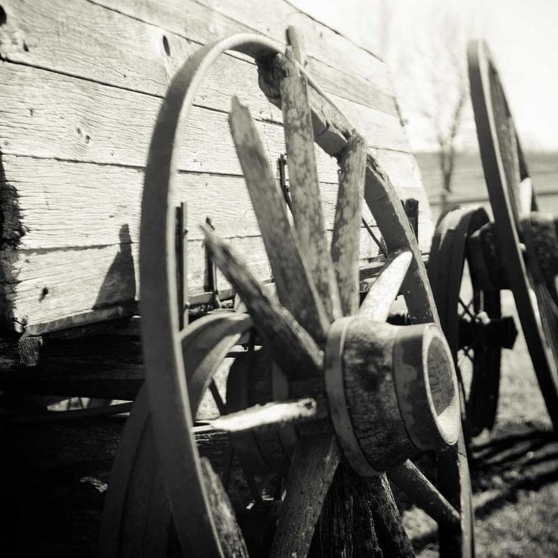 Bright Starts Bounce Bounce Baby Activity Walker