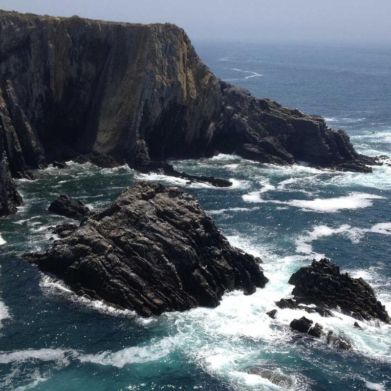 Bright Starts Bounce Bounce Baby Activity Walker - Image 3