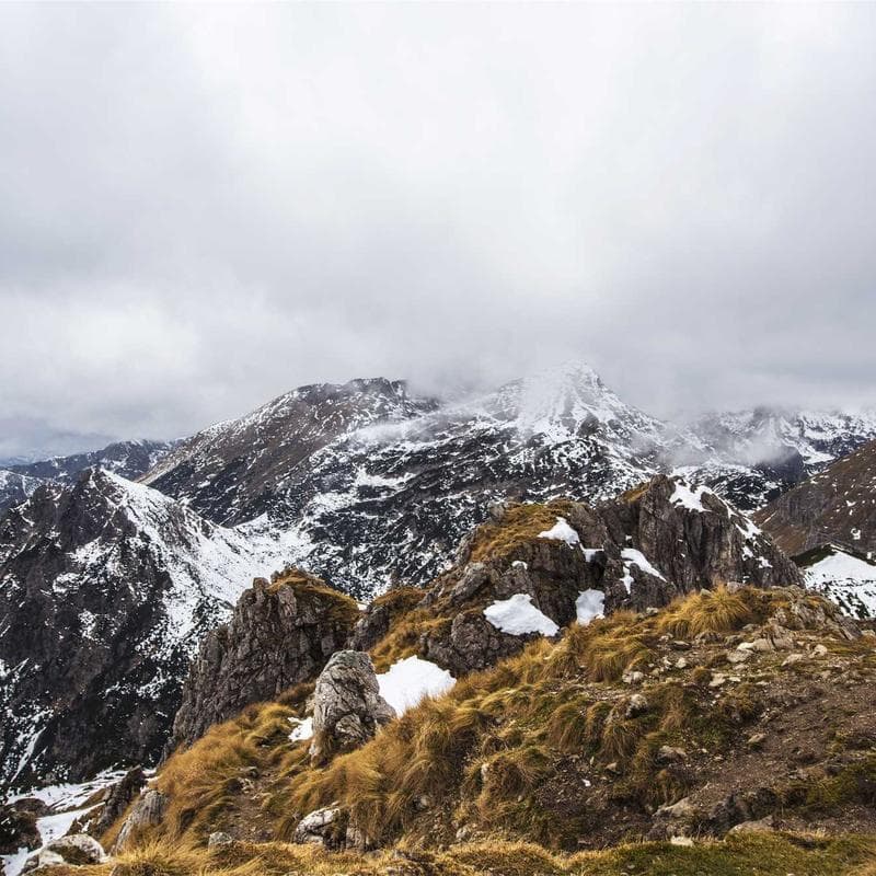 bumGenius Original 5.0 Cloth Diaper