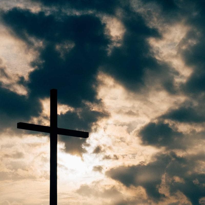 Burt's Bees Baby Organic Burp Cloths (5-pack) - Image 3