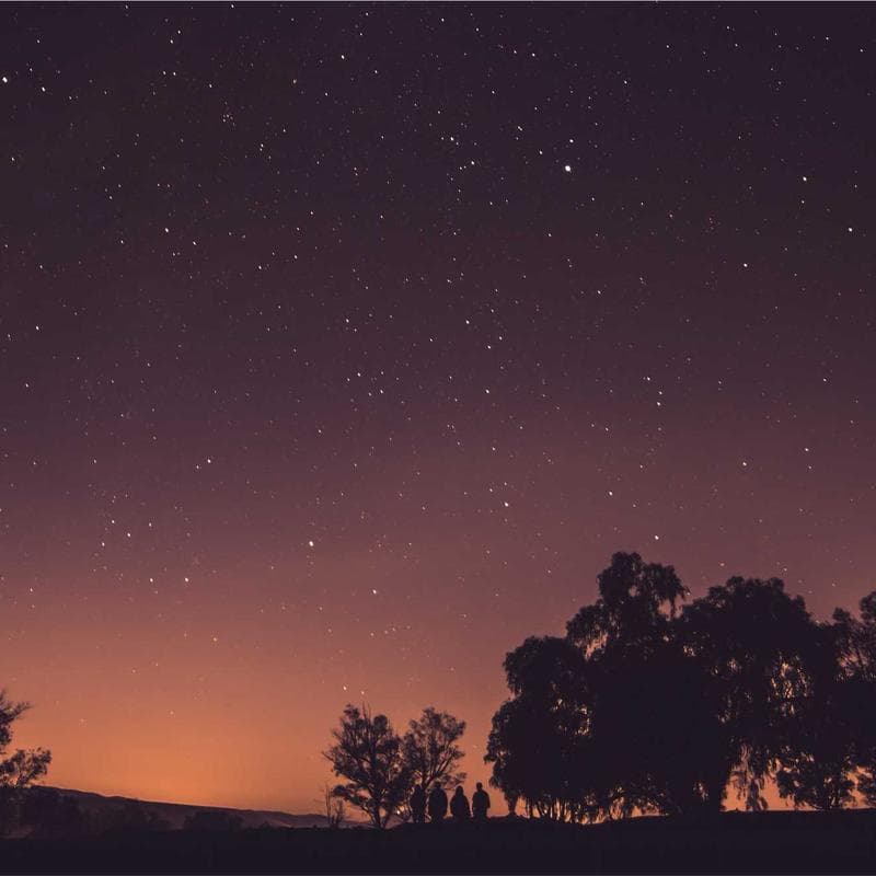 Burt's Bees Baby Organic Burp Cloths (5-pack) - Image 5