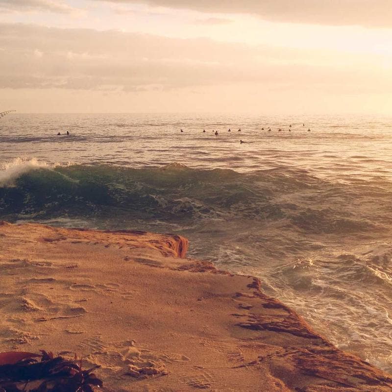 Carlson Baby's Super Daily D3 Drops - Image 2