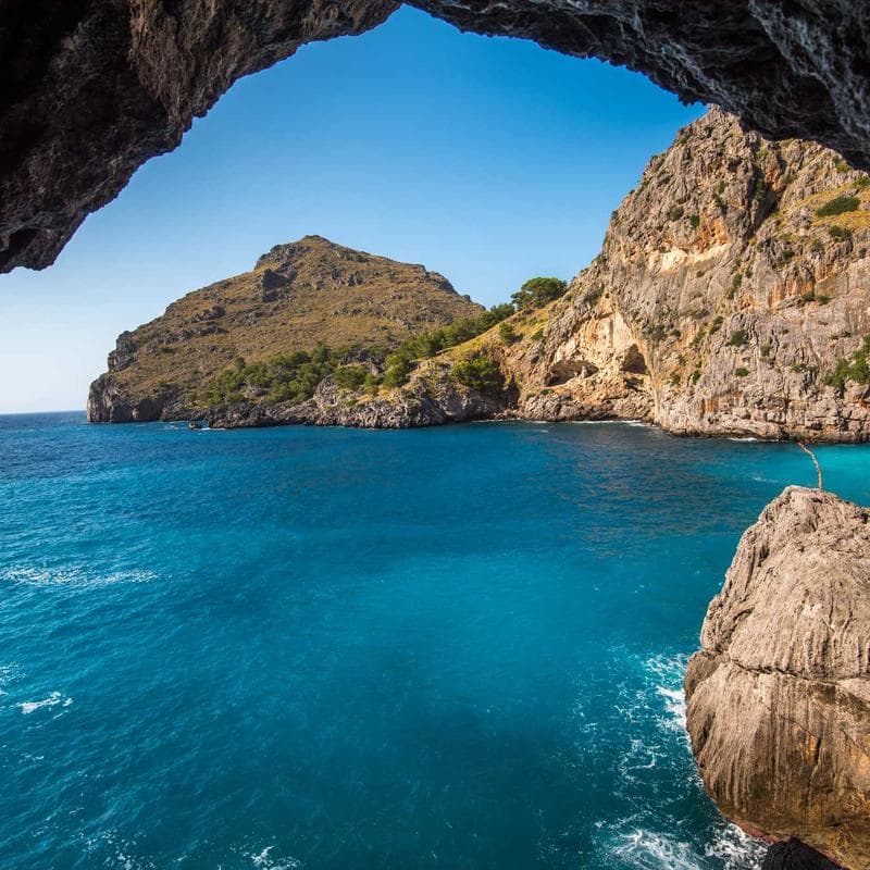 Carlson Baby's Super Daily D3 Drops - Image 3