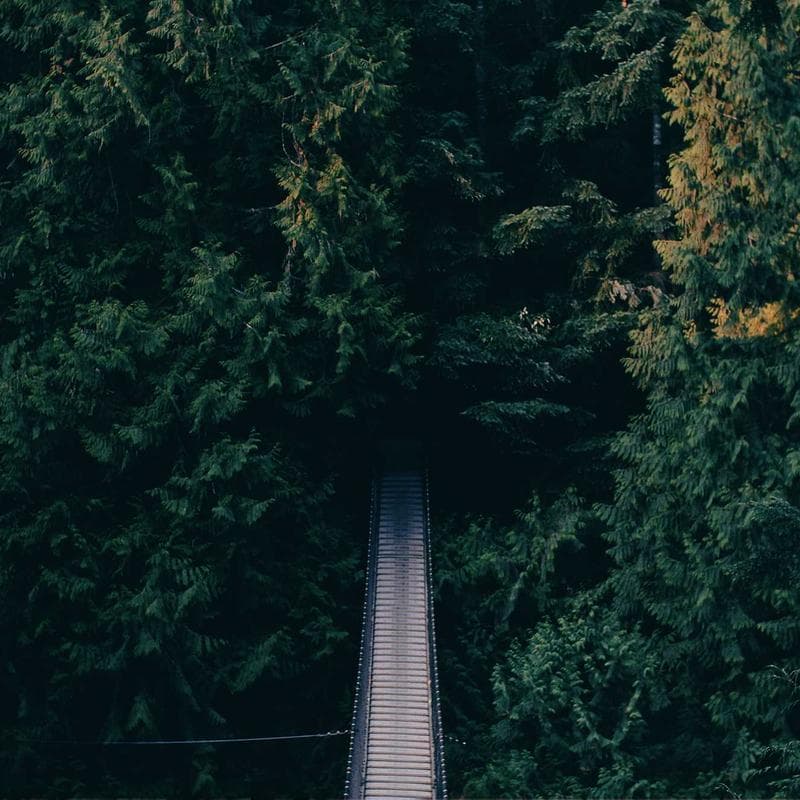 Cetaphil Baby Wash & Shampoo