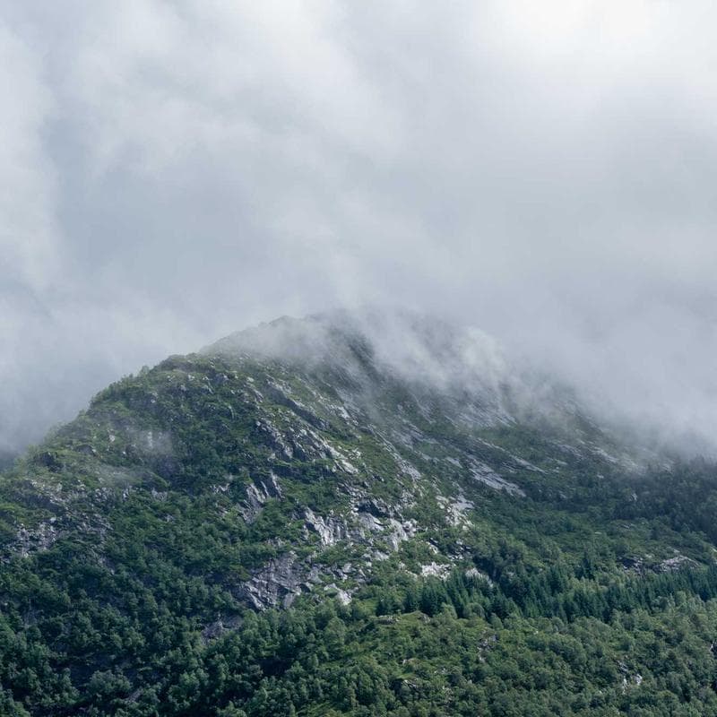 Cetaphil Baby Wash & Shampoo - Image 2