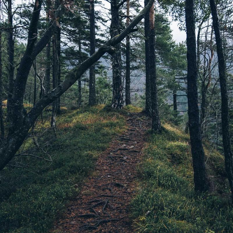 DaVinci Kalani 3-Drawer Dresser - Image 3