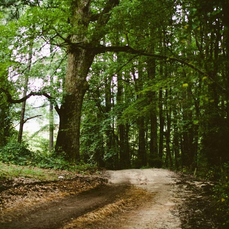 Dr. Brown's Natural Flow Anti-Colic Bottles (3-pack) - Image 2