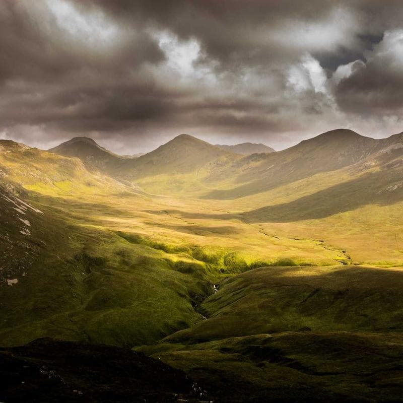 Ergobaby Omni 360 Baby Carrier - Image 3