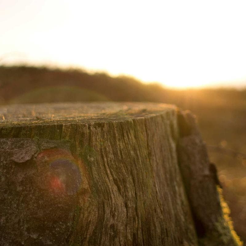 ezpz First Foods Set