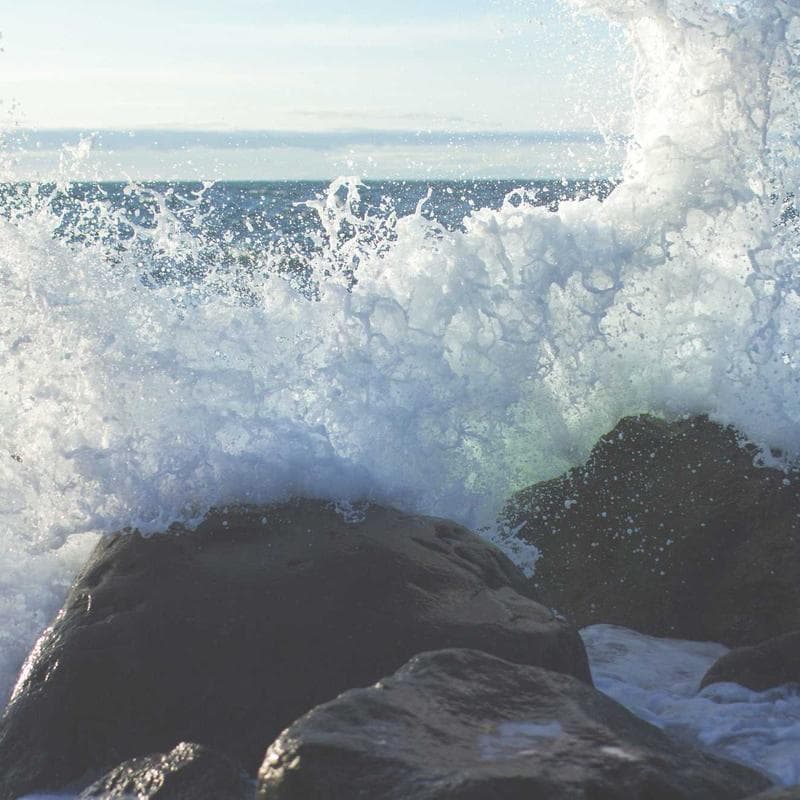 FridaBaby Grooming Kit (Baby's First) - Image 3