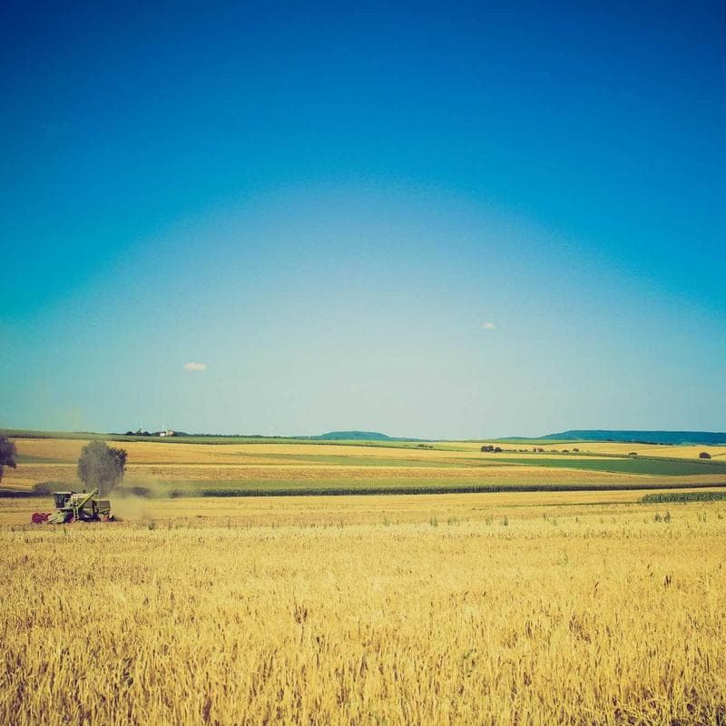 Gerber 1st Foods Starter Kit (12 jars) - Image 3