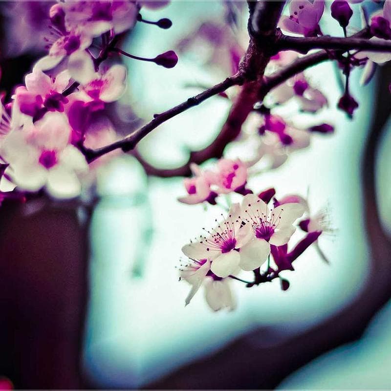 Graco Pack 'n Play On The Go Playard