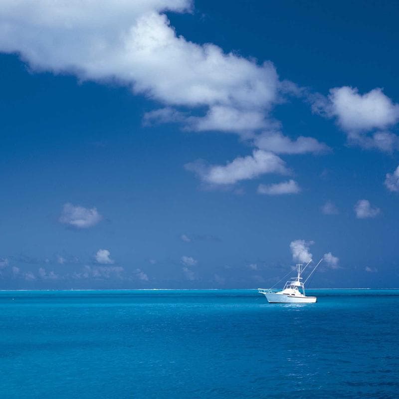 The Honest Company Clean Conscious Diapers (76 Count) - Image 3