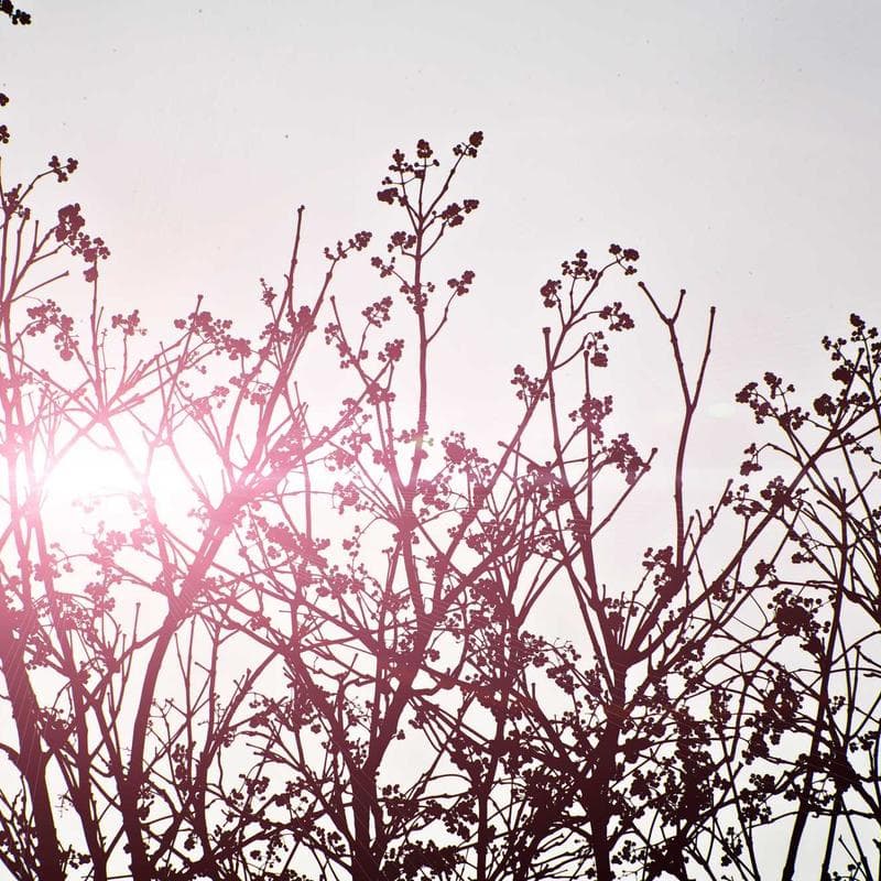 i play. Reusable Absorbent Swim Diaper - Image 2