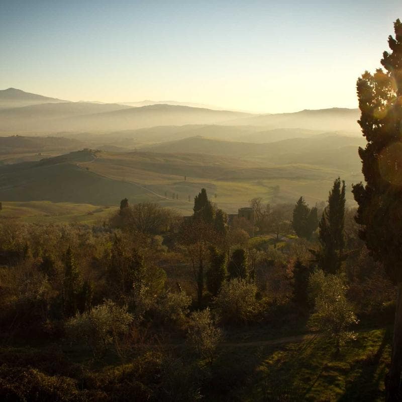 Jack N' Jill Natural Calendula Toothpaste