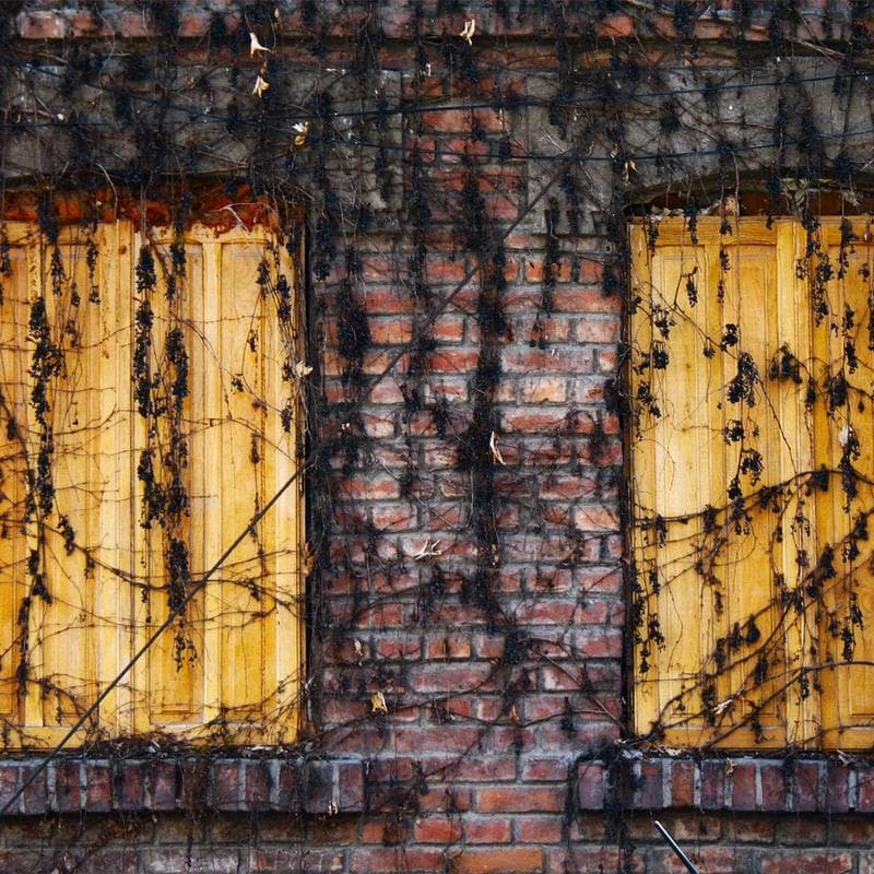 Joie Illusion Travel Cot - Image 2