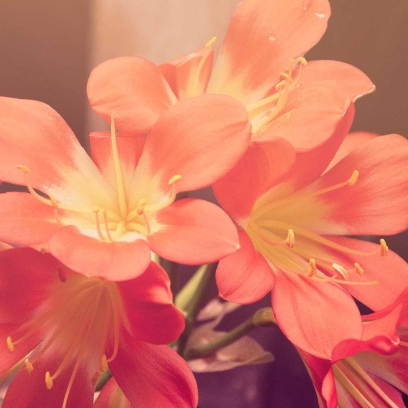 Melissa & Doug Wooden Building Blocks Set (100 pcs) - Image 2