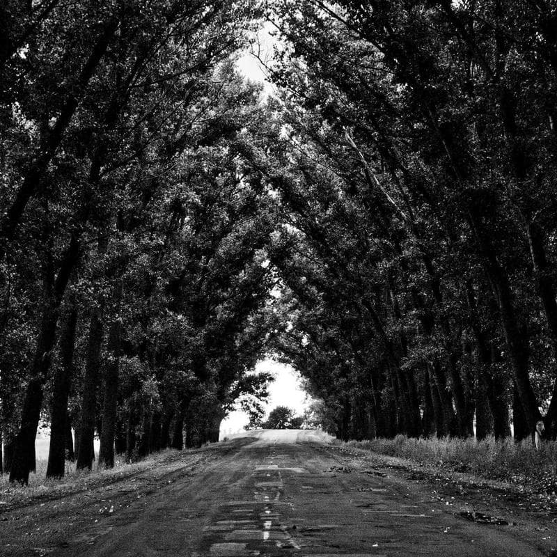 Mushie Silicone Bibs (2-pack)