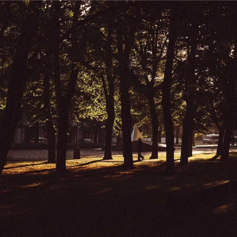 Mushie Silicone Bibs (2-pack) - Image 2