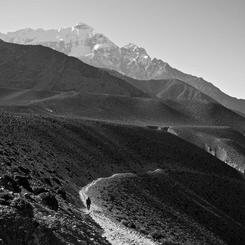 Native Shoes Jefferson Kids - Image 3