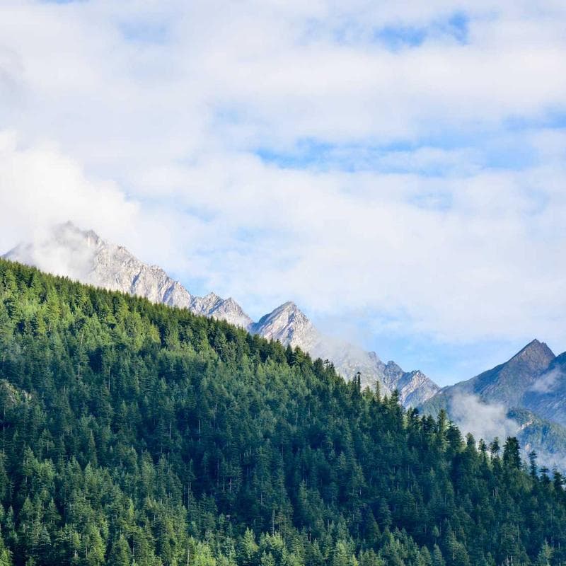 Pampers Sensitive Baby Wipes (504 Count)