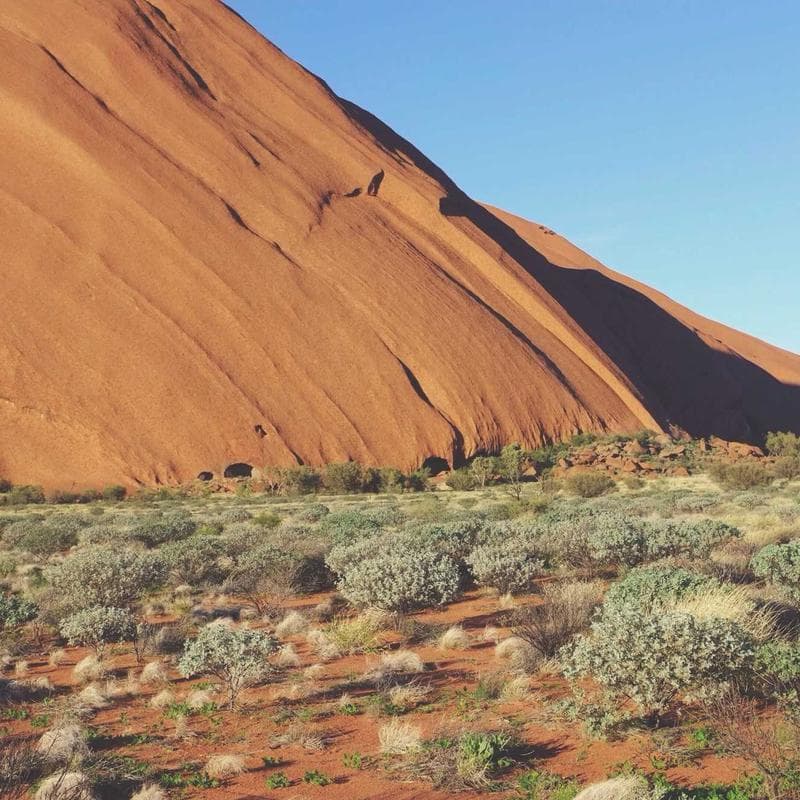 Philips Avent Natural Baby Bottles (4-pack) - Image 3