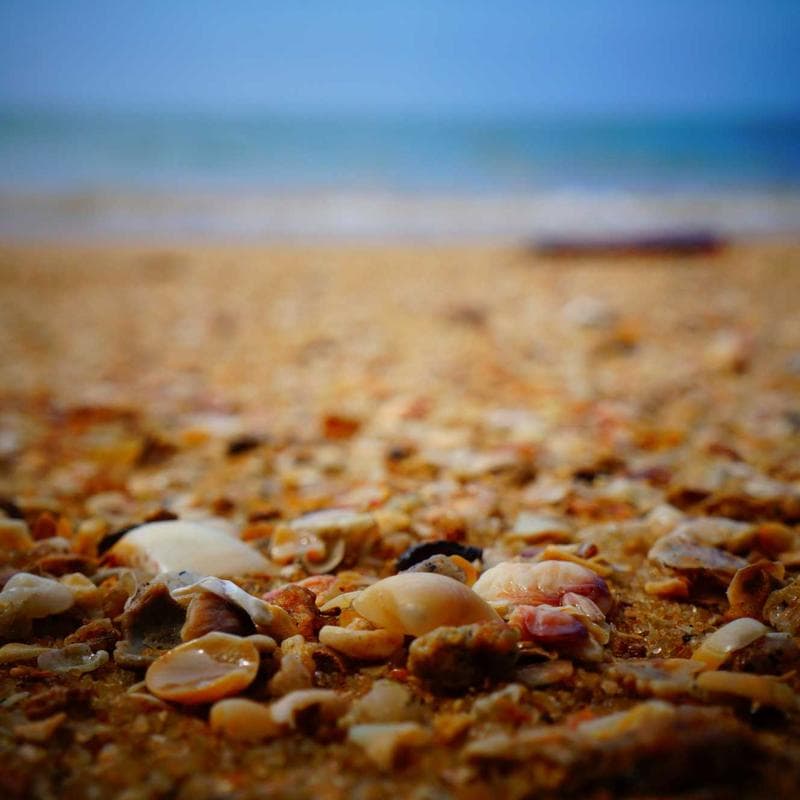 First 100 Words Board Book by Roger Priddy - Image 2