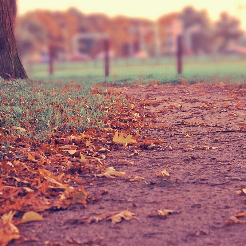 First 100 Words Board Book by Roger Priddy - Image 3