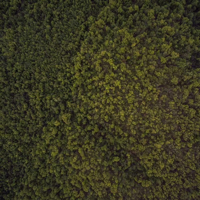 Primary.com Essential Tees (3-pack) - Image 3