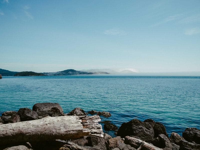 Review photo by T***********r