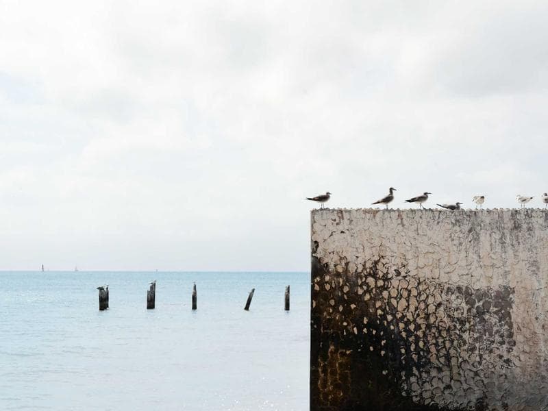 Review photo by T***********r