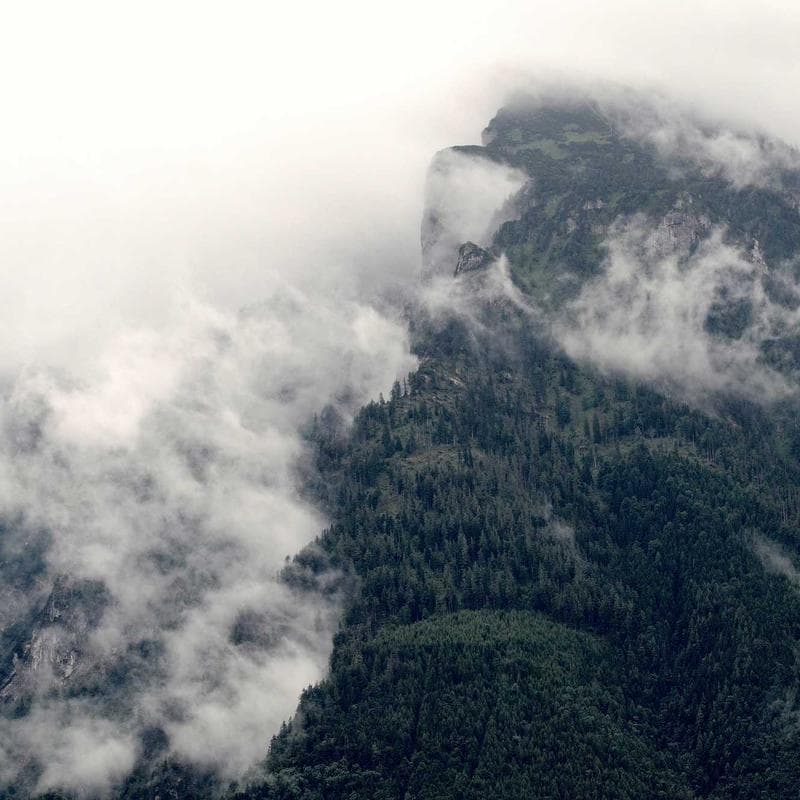 Similac Pro-Advance Infant Formula (36 oz) - Image 2