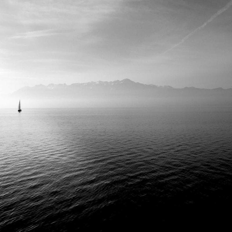 Similac Pro-Advance Infant Formula (36 oz) - Image 4