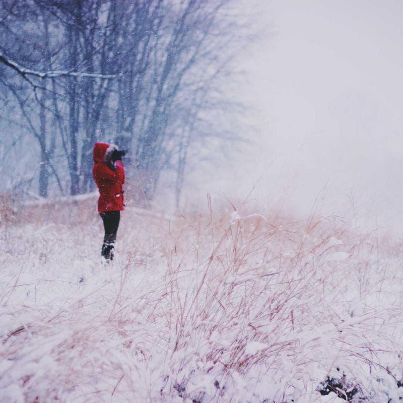 Skip Hop Forma Diaper Backpack