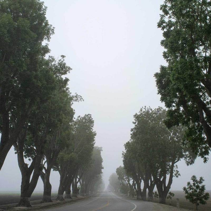 Skip Hop Forma Diaper Backpack - Image 2