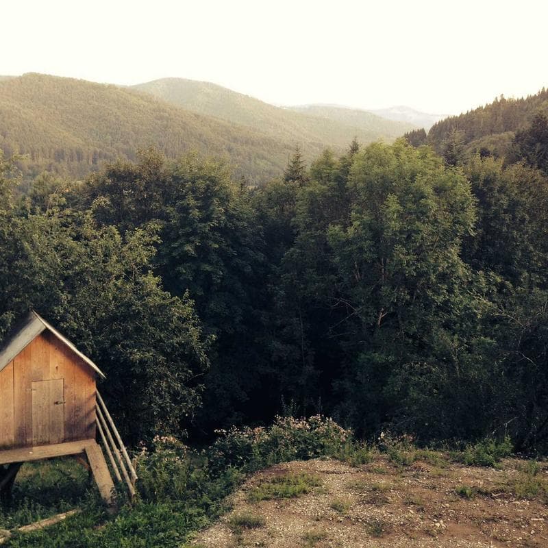 Stride Rite Soft Motion First Walker Shoes