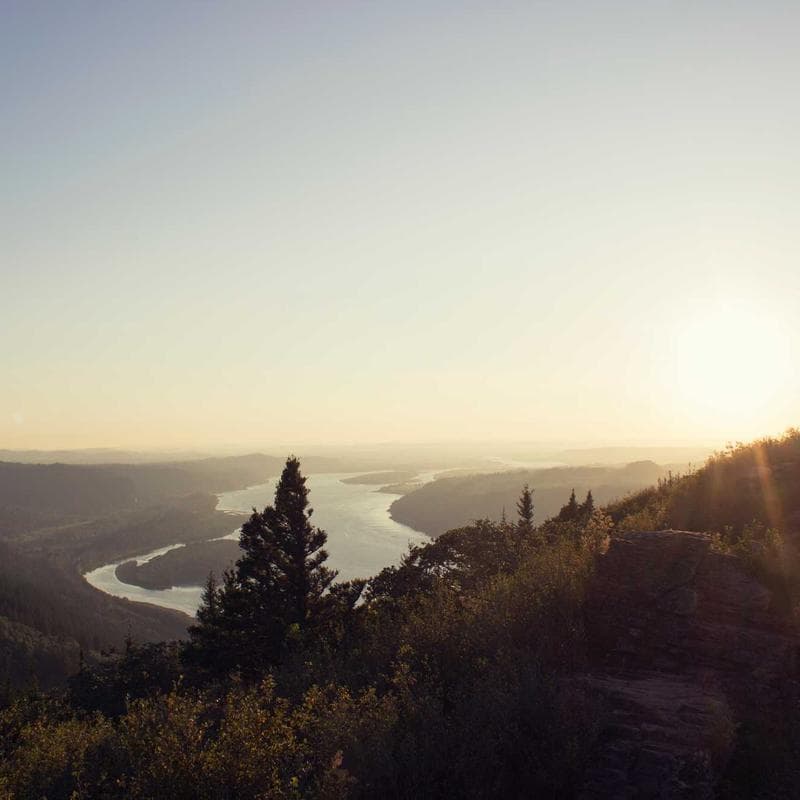 Stride Rite Soft Motion First Walker Shoes - Image 2